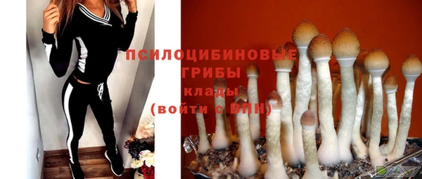 эйфоретик Арсеньев
