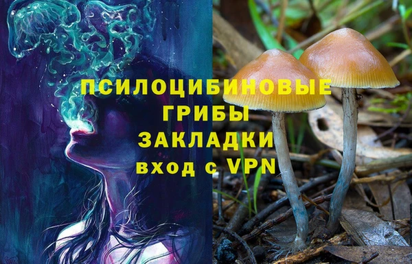 молекула духа Армянск