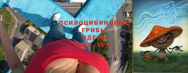 эйфоретик Арсеньев